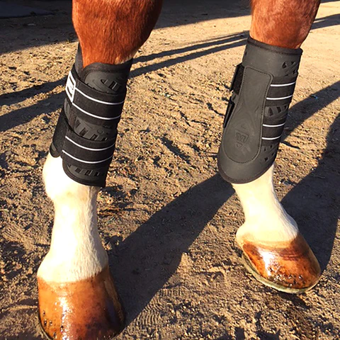 Как подобрать ногавки для лошади по размеру